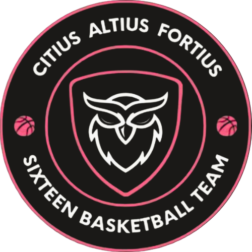 Logo Tim Basket SMAN 16 Bandung